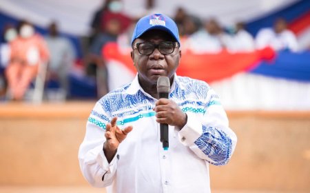 NPP Won’t Be Divided by Strong Rhetoric; Primaries Strengthening the Party — Freddie Blay