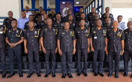 IGP Yohuno Promotes 17 Officers Over Major Drug and Arms Seizures