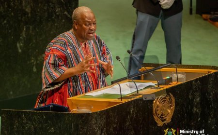 Raw Commodity Exports Undermining Africa’s Growth – President  Mahama Warns