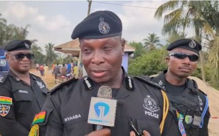 Two delegates arrested for secretly recording ballots during NPP primary — Police