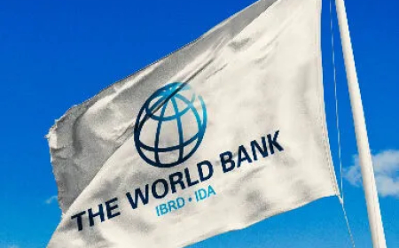 Ghana Strong on Regulations but Falling Behind in Market Competition - World Bank