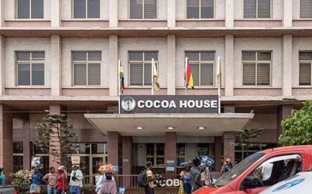 Ghana Cocoa Board Pay Cuts Welcomed by Cocoa Farmers Amid Liquity Strain
