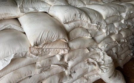 Salaga South MP Hajia Zuwera Ibrahimah Donates 650 Bags of Sugar to Muslims Ahead of 2026 Ramadan