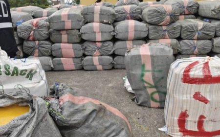 Police Foil Bribery Attempt, Seize Two Truckloads of Suspected Indian Hemp in Western Region