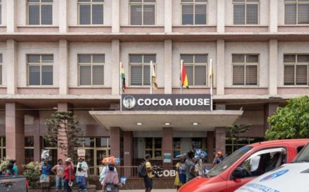 COCOBOD rejects GH¢12m Black Stars sponsorship claims