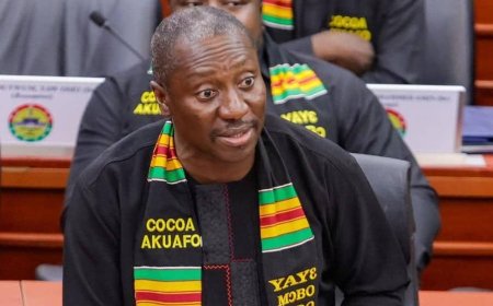 Alexander Afenyo-Markin Condemns Display of Ken Ofori-Atta’s Photo in Parliament, Urges Fairness and Due Process