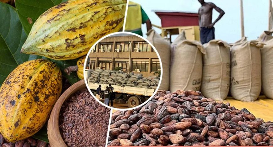 Cabinet Orders Forensic and Criminal Probe of COCOBOD Over Eight-Year Financial Mismanagement