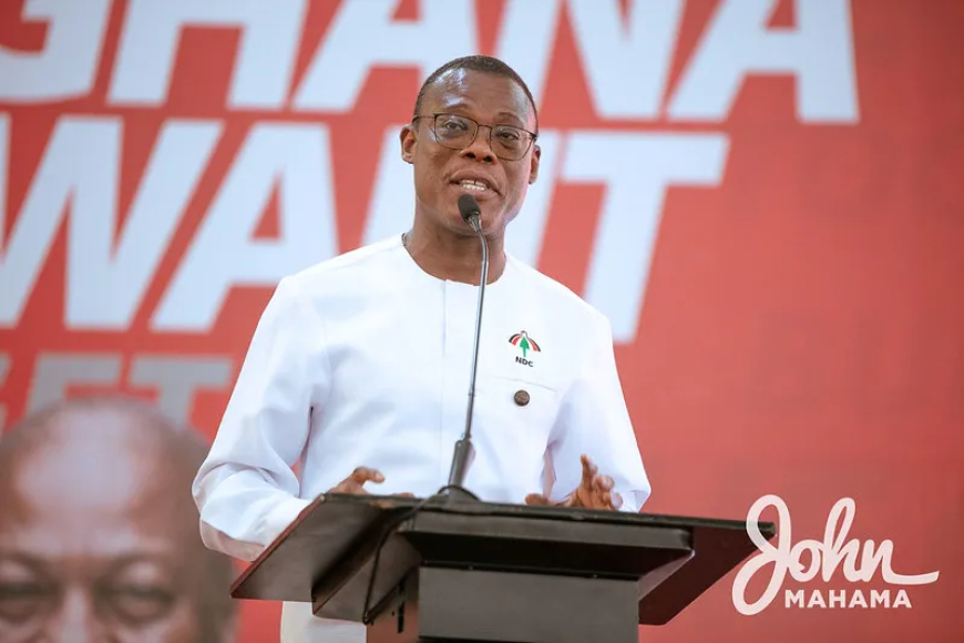 Fifi Kwetey slams opponents of dual-role directive as “greedy” and “mercenaries”