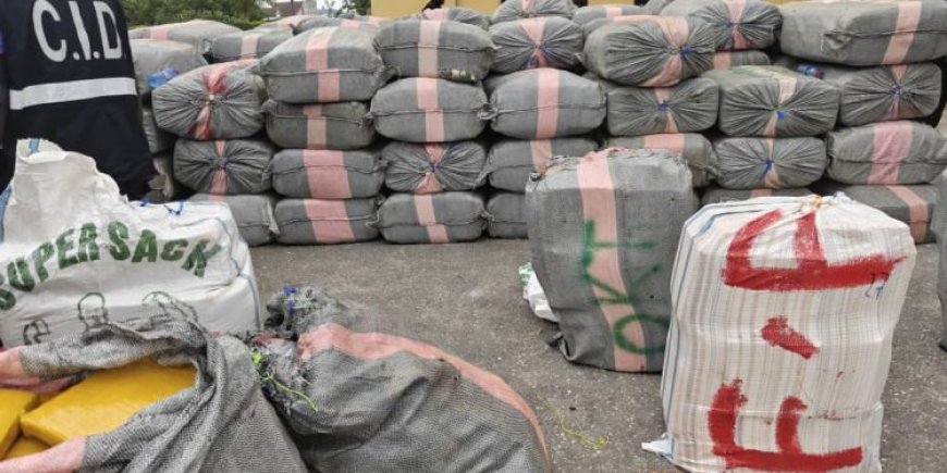 Police Foil Bribery Attempt, Seize Two Truckloads of Suspected Indian Hemp in Western Region
