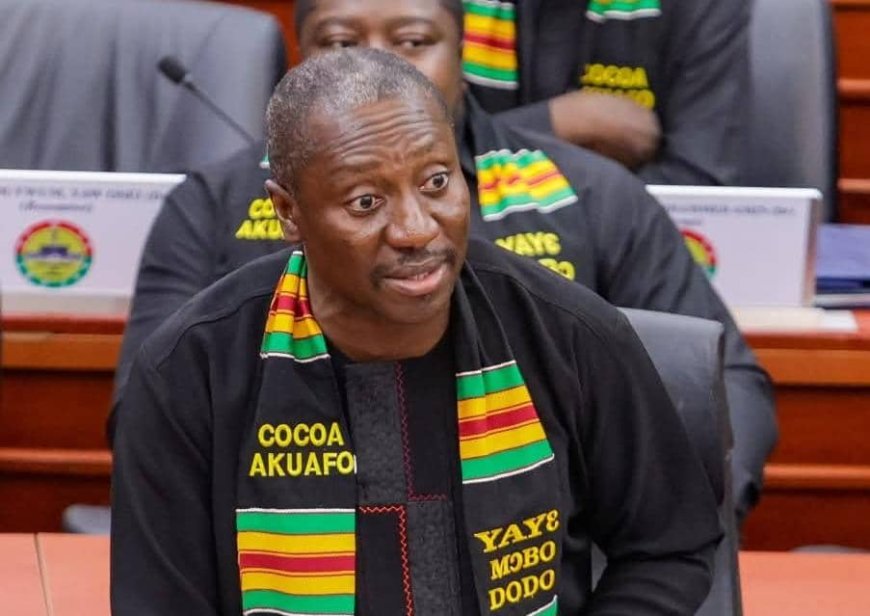 Alexander Afenyo-Markin Condemns Display of Ken Ofori-Atta’s Photo in Parliament, Urges Fairness and Due Process