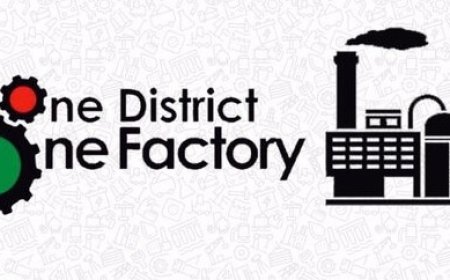 Audit reveals GH¢89.4m fictitious debt under 1D1F programme