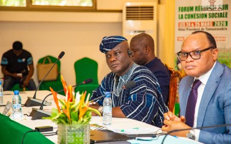 Ghana Pushes Regional Cooperation Agenda Ahead of Social Cohesion Conference in Côte d’Ivoire - Hon. Ahmed Ibrahim