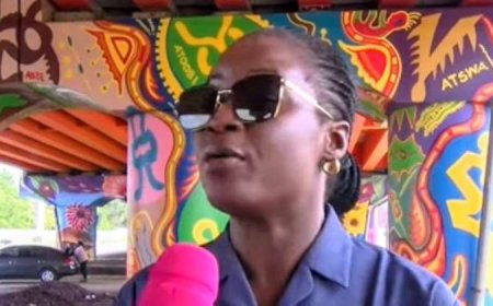 Akufo-Addo’s Daughter Denies $25m Interchange Painting Claim, Threatens Legal Action