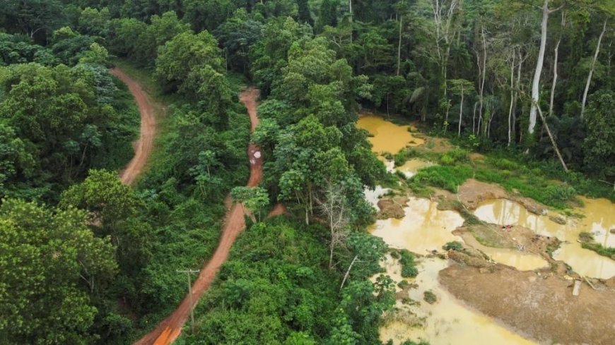 Forestry Commission Reports Nearly 9,000 Hectares of Forest Reserves Lost to Galamsey