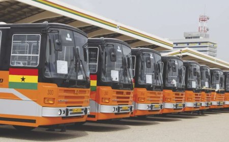 Zaato Urges Transport Ministry to Deploy New Metro Mass Buses More Strategically