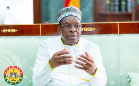 Parliament Will Pass Anti-LGBTQ+ Bill When It Reconvenes — Alban Bagbin