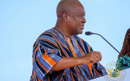 Free Primary Healthcare to Complement, Not Replace National Health Insurance Scheme -  President Mahama