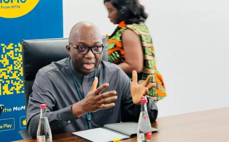 MobileMoney Fintech CEO Urges Customers to Report Agents Charging for Deposits