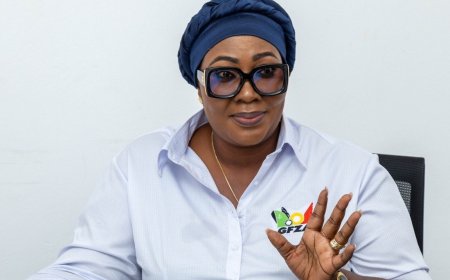 Suhuyini warns Free Zones CEO’s remarks could weaken anti-galamsey efforts