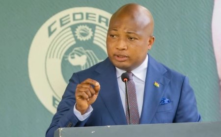 Cabinet approves e-Visa policy to boost tourism and investment