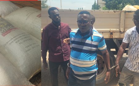 Bono: REGSEC, COCOBOD Taskforce Crack Down on Four Cocoa Smuggling Syndicates; Over 100 Bags of Ivorian Cocoa Seized