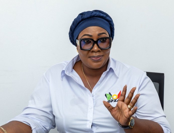 Suhuyini warns Free Zones CEO’s remarks could weaken anti-galamsey efforts