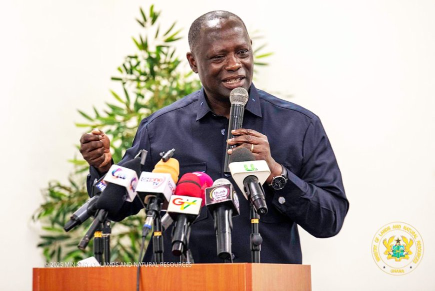 Tender Process for Damang Mine ‘Progressing Well’ – Lands Minister