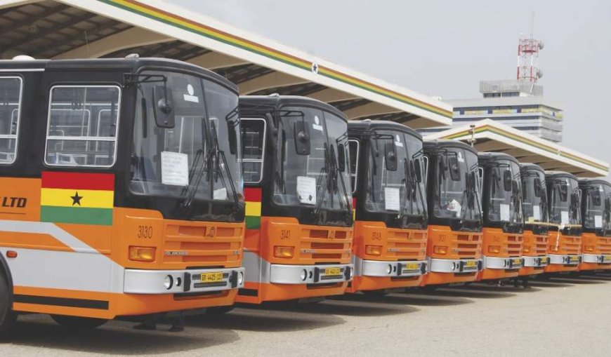 Zaato Urges Transport Ministry to Deploy New Metro Mass Buses More Strategically