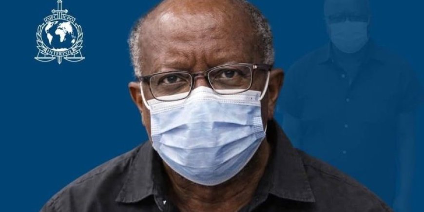 Ken Ofori-Atta Released from US ICE Detention Amid Ongoing Legal Battles