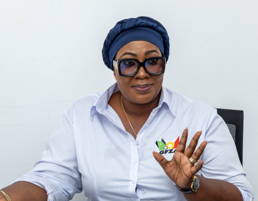 Suhuyini warns Free Zones CEO’s remarks could weaken anti-galamsey efforts