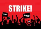 NIA Staff Launch Indefinite Strike Today, Vowing “No Retreat, No Surrender”
