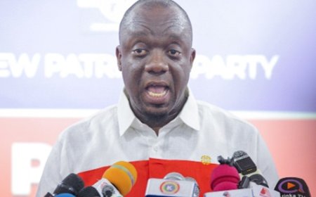 NPP establishes 30 committees to strengthen party operations