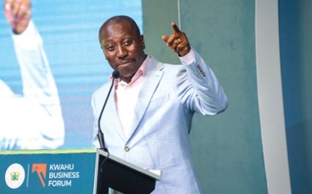 Afenyo-Markin accuses Raymond Archer of centralising EOCO operations