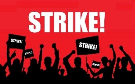 NIA Staff Launch Indefinite Strike Today, Vowing “No Retreat, No Surrender”