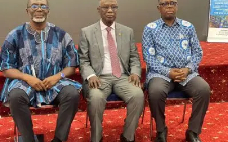 Consulting Engineers Urge Ghana to Shift Away from Dollar Loans for Infrastructure Financing