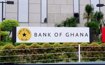 Bank of Ghana Withdraws GH¢19bn from Market Through 14-Day Bill Auction