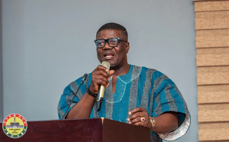 Bagbin, Foreign Ministry and Attorney-General Involved in Netherlands MP Detention Case — Dafeamekpor