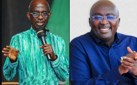 Don’t Look to Bawumia for Answers – Asiedu Nketia Advises NDC Supporters