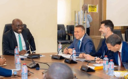 Bank of Ghana Remains Financially Stable Despite Negative Equity - IMF