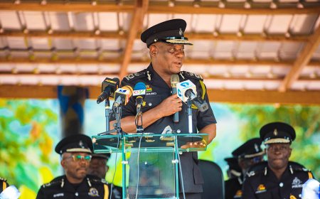 We will track and arrest all criminals, IGP Yohuno assures