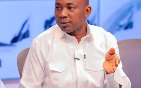 Ghana could return to IMF programme by 2033 – Bokpin