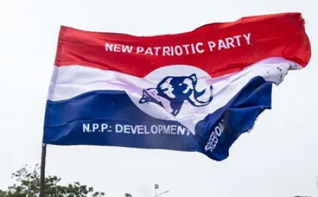 Over 100 NPP Executives Petition General Secretary Over Alleged Removal of Names in Yendi Constituency
