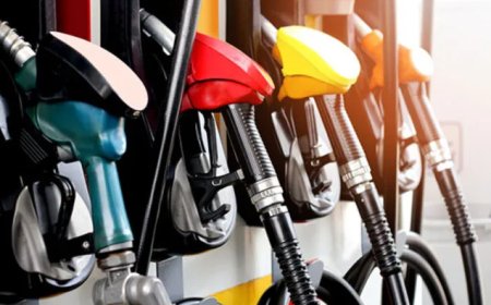NPA increases price floor for petrol, diesel declines slightly