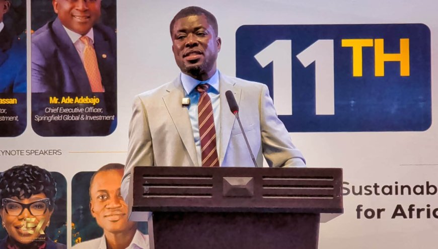 Africa must shape global sustainability standards, not merely follow them – Elikem Kotoko