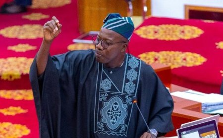 Anti-LGBTQ Bill Was Lawfully Passed, Speaker Cannot Reverse Parliament’s Decision - Ayariga