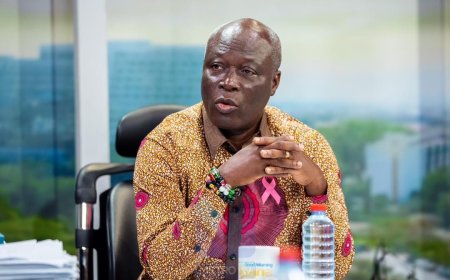 Nii Lantey Vanderpuye Steps Down as DRIP Coordinator to Seek NDC National Executive Role