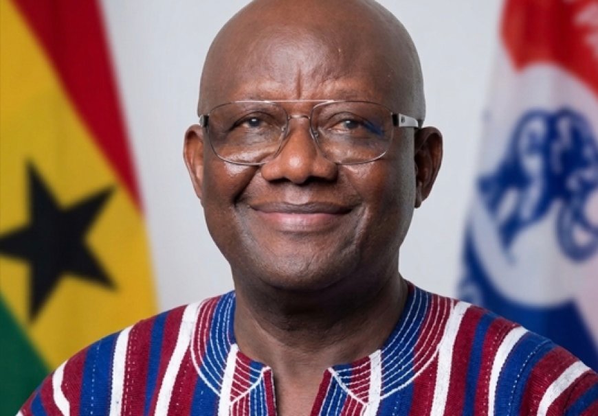 “Build Bridges to the Future, Not the Past” — Afoko Rallies NPP Ahead of 2028